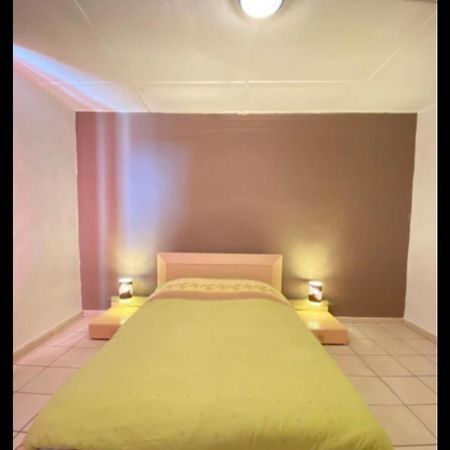 Belle Appartement Chaleureux A 2 Mn A Pied Du Tramway. 생테티엔 외부 사진